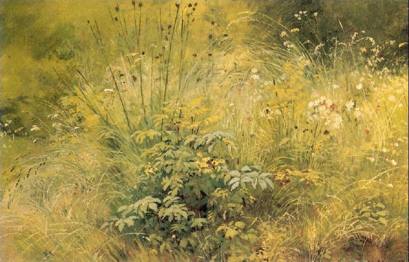 Ivan Shishkin Herbage oil painting picture